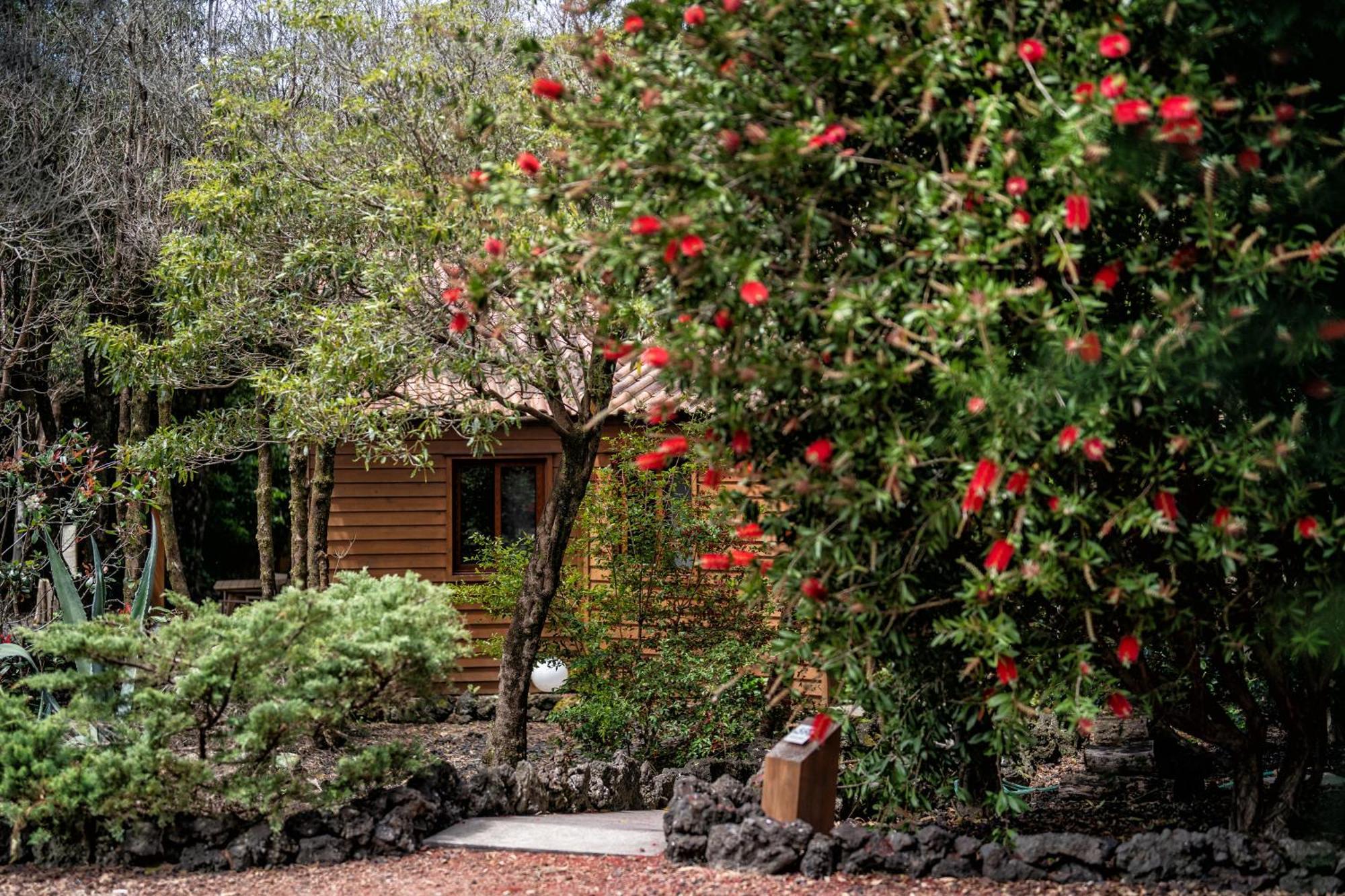 מדלנה Alma Do Pico - Nature Residence מראה חיצוני תמונה