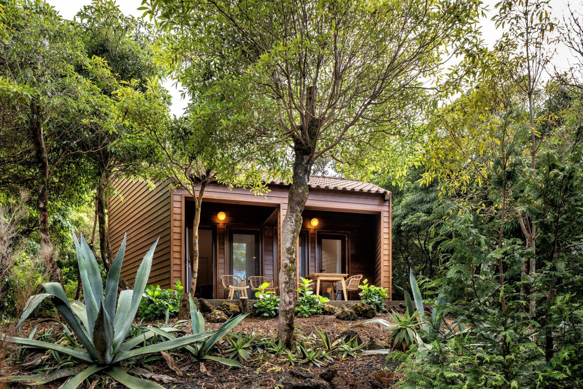 מדלנה Alma Do Pico - Nature Residence מראה חיצוני תמונה