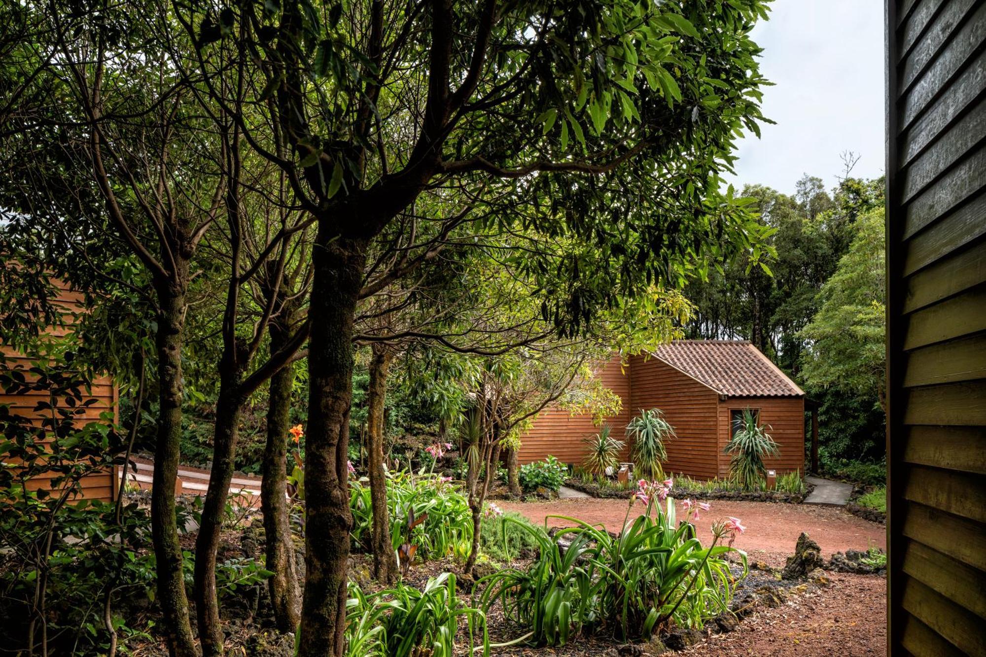 מדלנה Alma Do Pico - Nature Residence מראה חיצוני תמונה