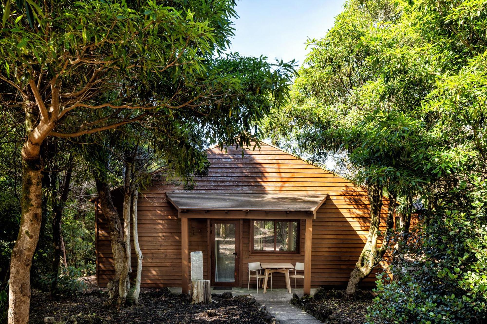 מדלנה Alma Do Pico - Nature Residence מראה חיצוני תמונה