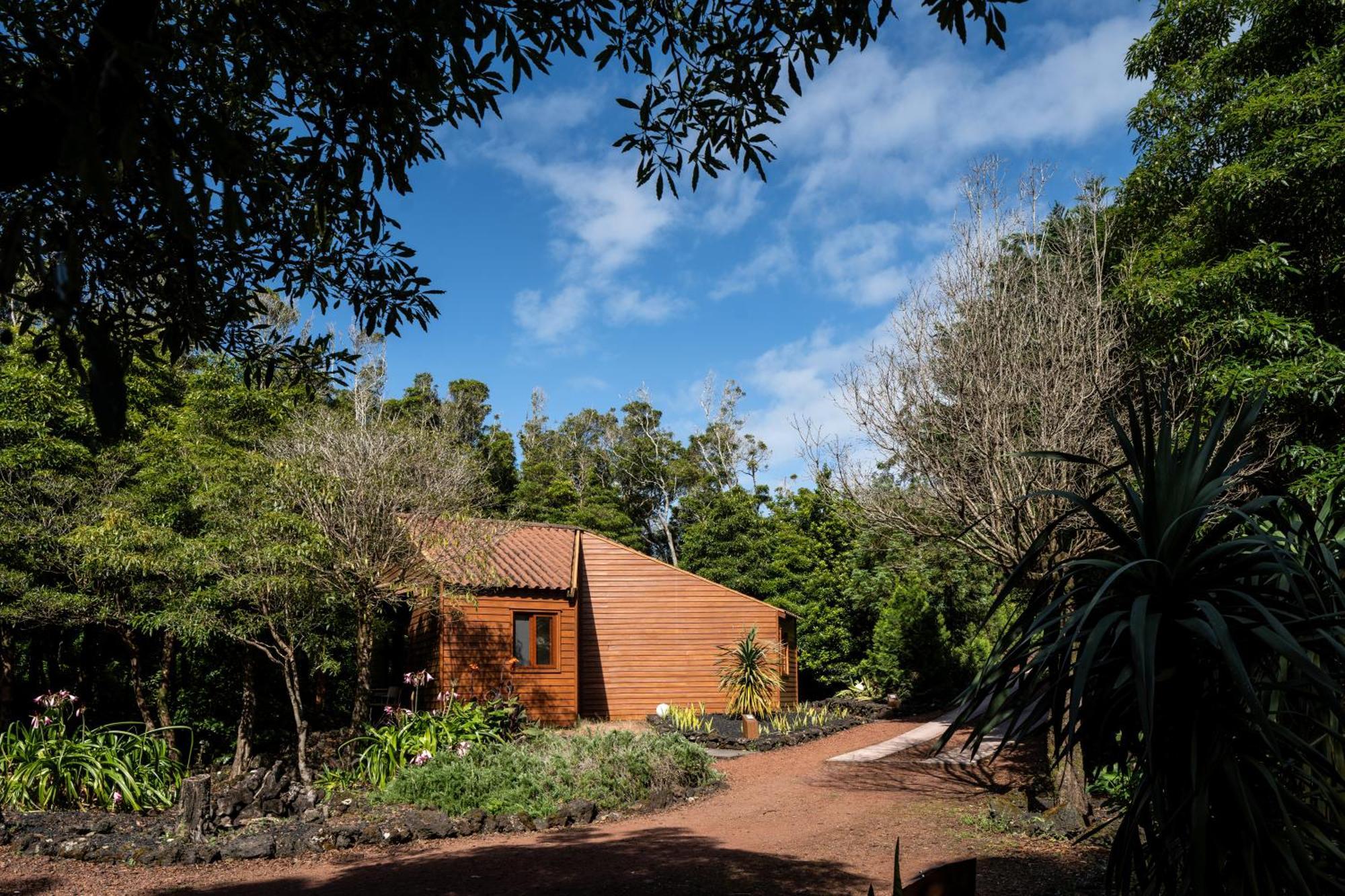 מדלנה Alma Do Pico - Nature Residence מראה חיצוני תמונה