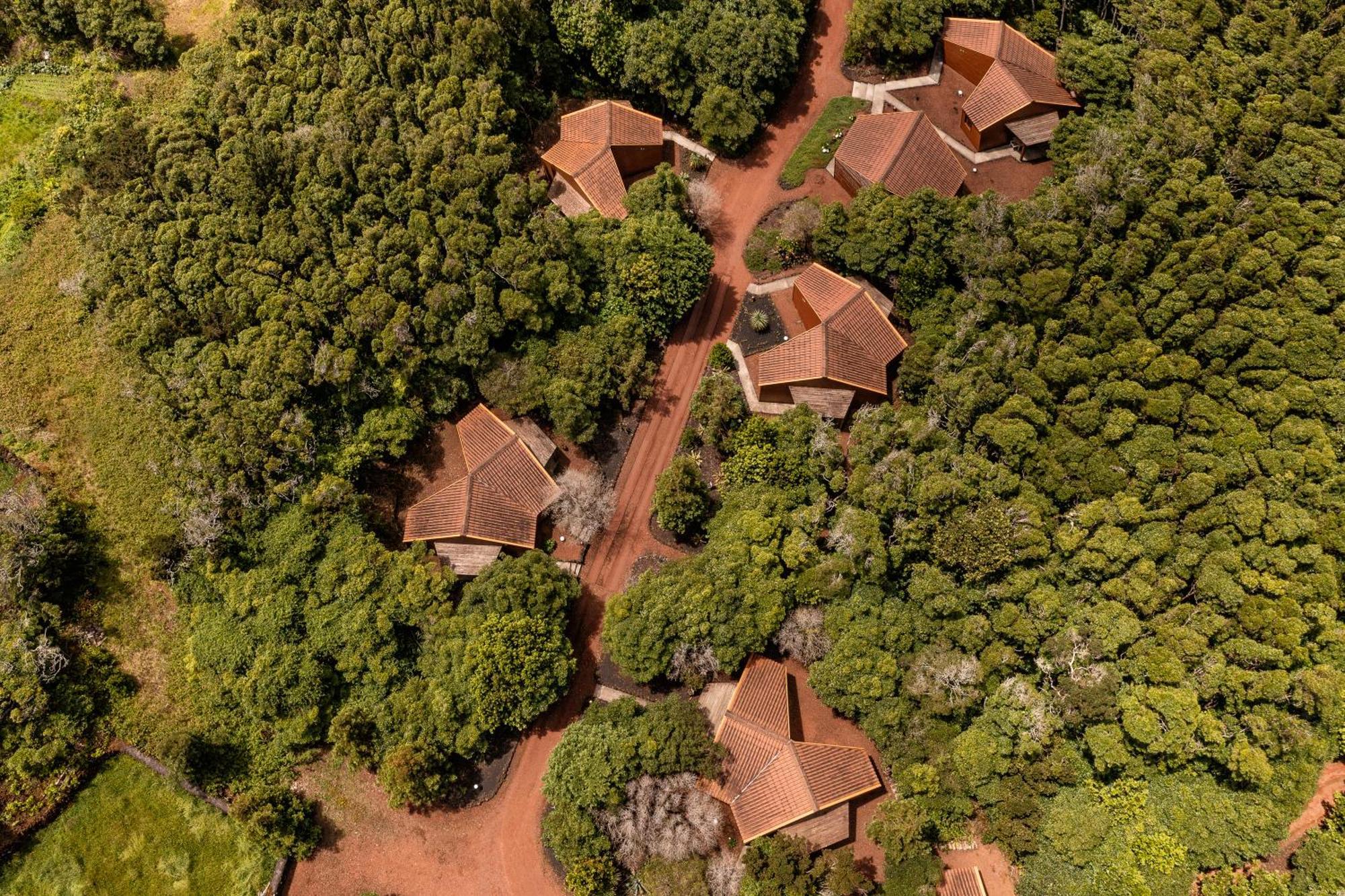 מדלנה Alma Do Pico - Nature Residence מראה חיצוני תמונה