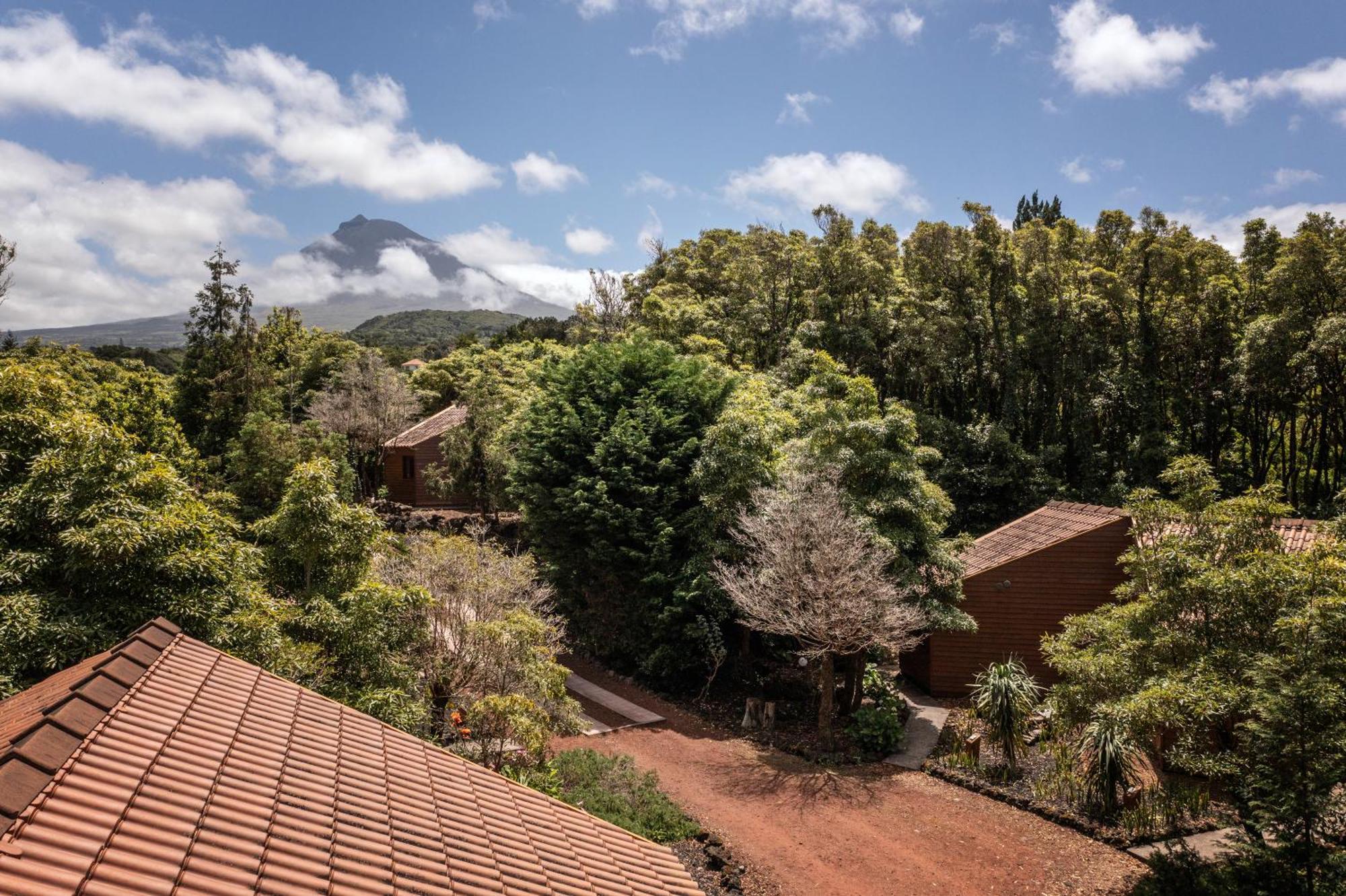 מדלנה Alma Do Pico - Nature Residence מראה חיצוני תמונה