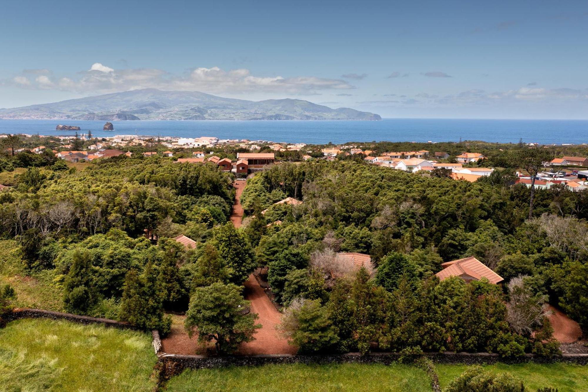 מדלנה Alma Do Pico - Nature Residence מראה חיצוני תמונה